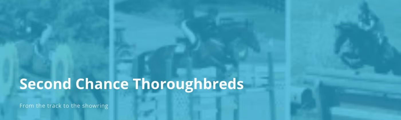 Second Chance Thoroughbreds
