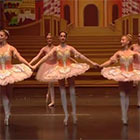 Supporting The Monterey Peninsula Ballet Theatre